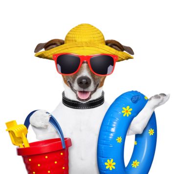 Set „Life’s A Beach”